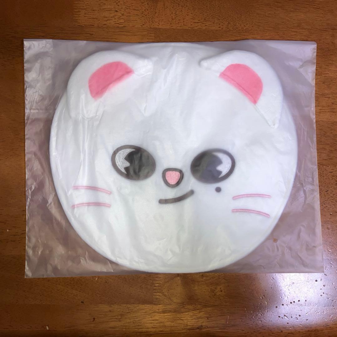 straykids ヒョンジン ジニレット ぬいぐるみ うちわカバー ボールペン