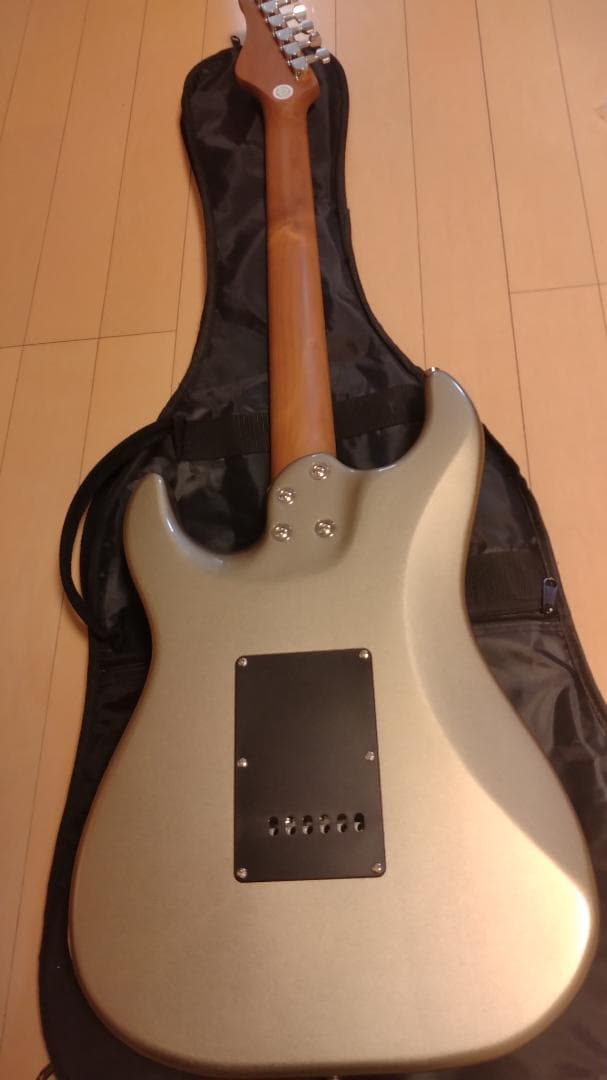ギター Bacchus GS-2DX RSM MDG