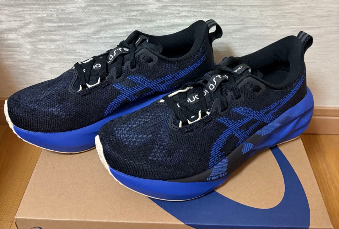 【即日発送】ASICS NOVABRAST5 ノヴァブラスト5 25.0cm