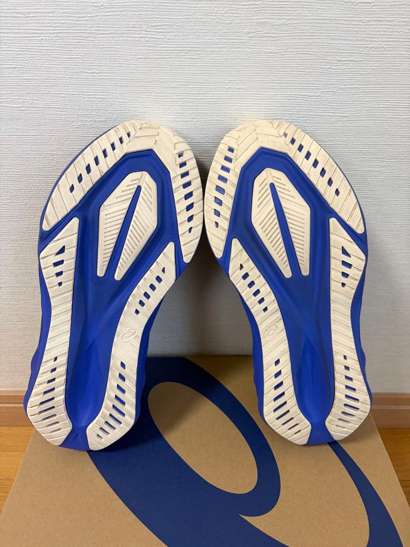 【即日発送】ASICS NOVABRAST5 ノヴァブラスト5 25.0cm