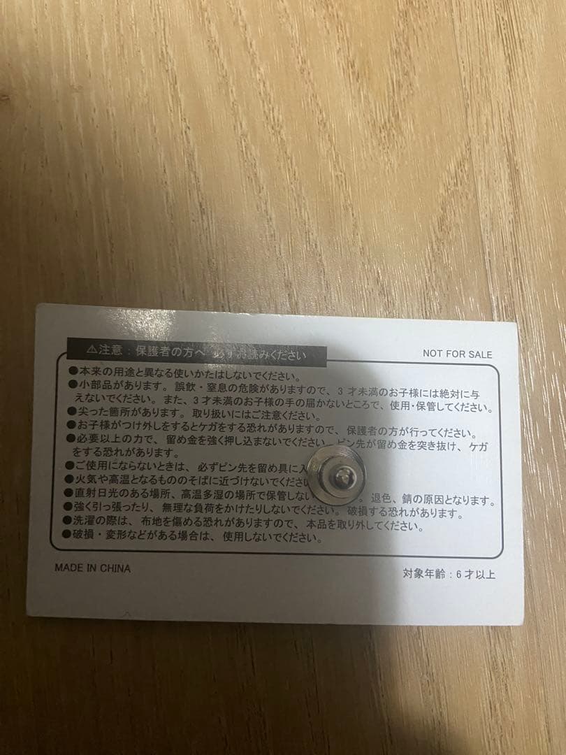 【期間限定出品】激レア！大阪関西万博　EXPO Protocol ピンバッジ