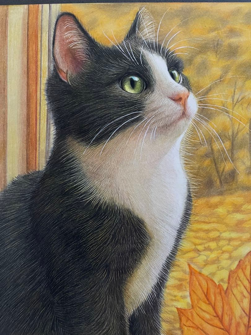 色鉛筆画 A4 ハチワレ猫133