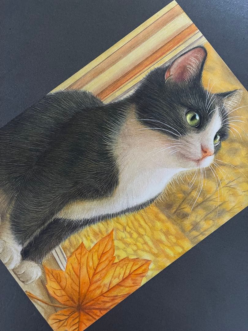 色鉛筆画 A4 ハチワレ猫133