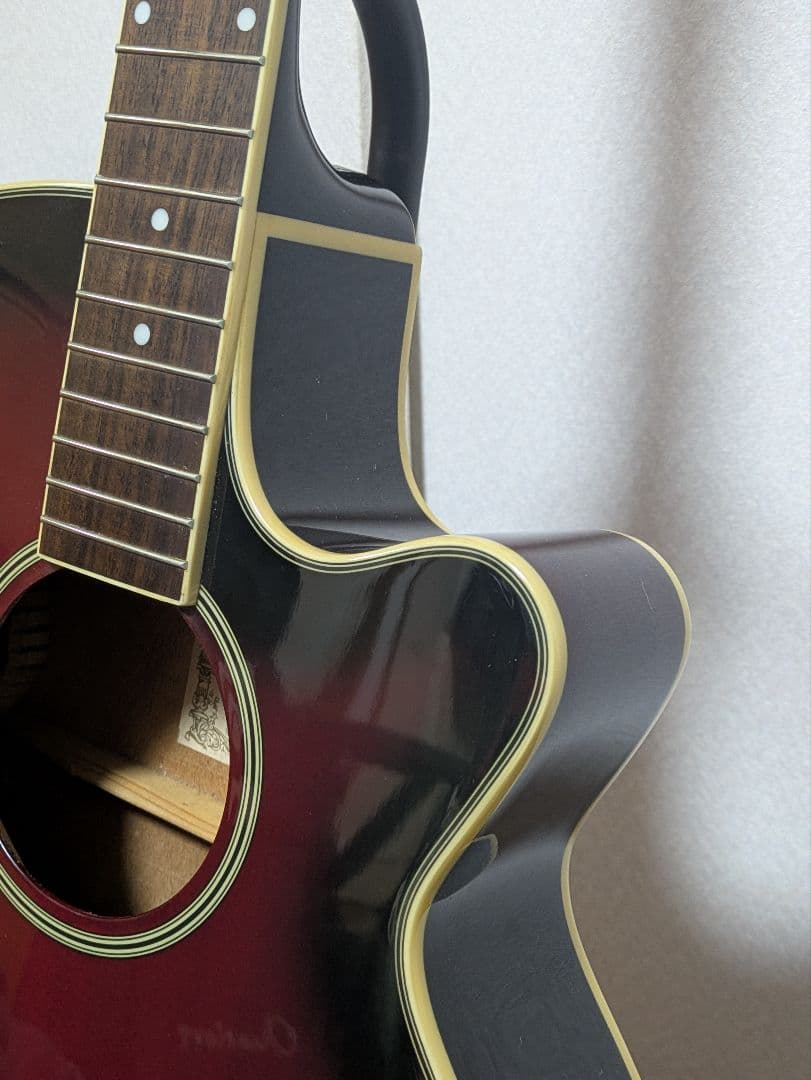 s*n様 Ibanezエレアコ