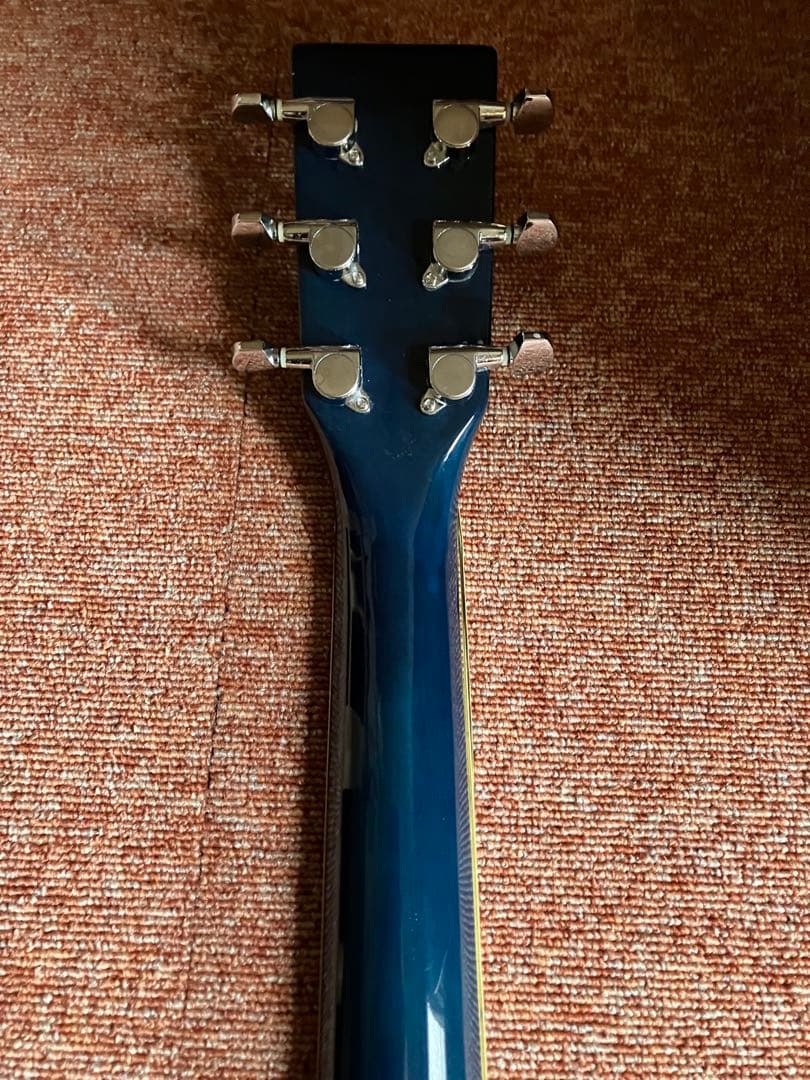 SEPIA CRUE FG-1 新品弦、ソフトケース、ピックをオマケ
