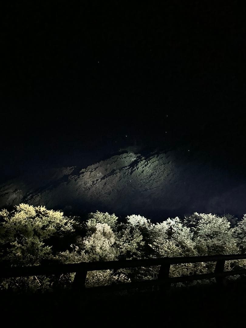 灯火採集　ライトアップ　セット