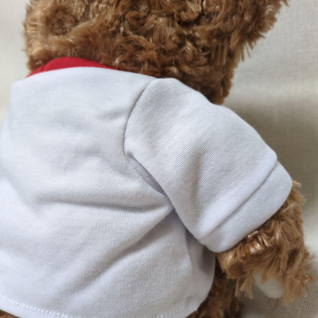 【未使用美品】タグ付プロモーションディズニーベア ぬいぐるみ ダッフィー WDW