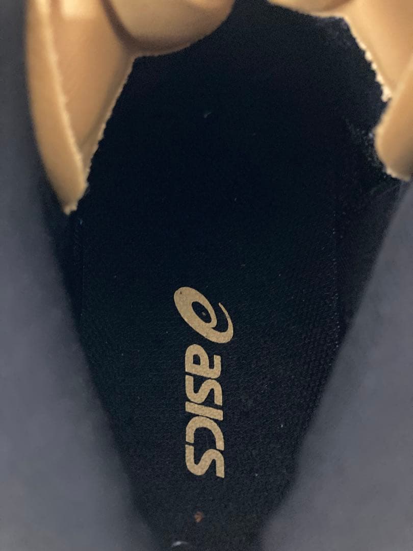 極美品 アシックス asics バレー シューズ メンズ　スポーツ　27cm