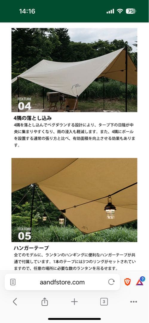 SABBATICAL マリポサM TC ライトベージュ新品