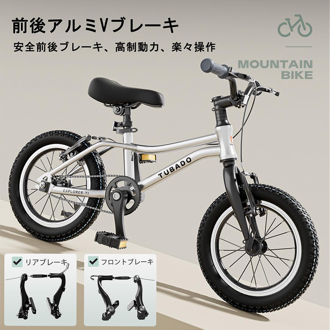 ACEXIS 子供自転車 14インチ 超軽量アルミ本体7.6kg Silver