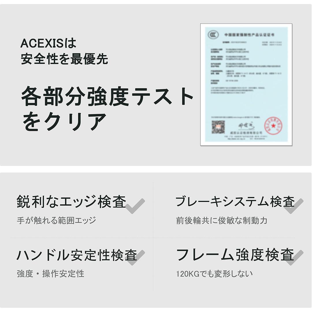 ACEXIS 子供自転車 14インチ 超軽量アルミ本体7.6kg Silver