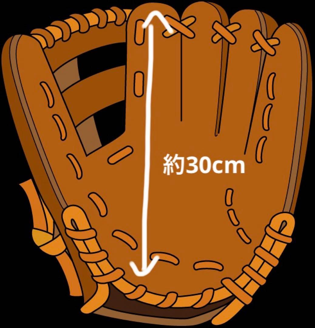 Mizuno Pro オーダー　硬式投手用グローブ キップレザー　耕作印