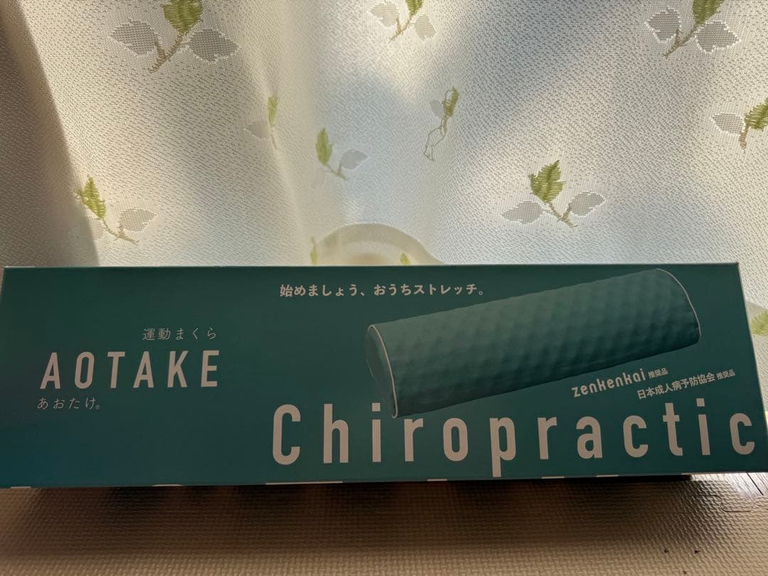 AOTAKE Chiropractic Zenkenkoi 全建会