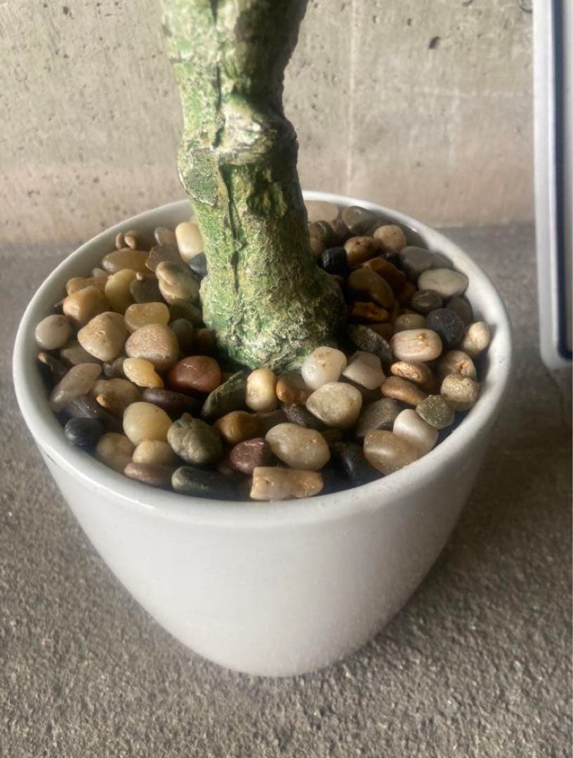 光触媒　人工観葉植物　ウォールグリーン　フェイク　ベンジャミンフィカス@g