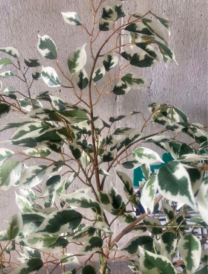 光触媒　人工観葉植物　ウォールグリーン　フェイク　ベンジャミンフィカス@g