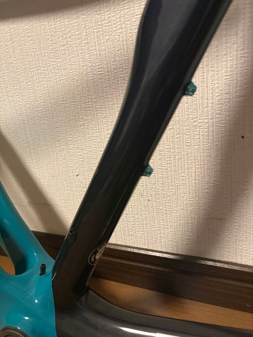 BIANCHI OLTRE XR3 DISC 50サイズ フレームセット