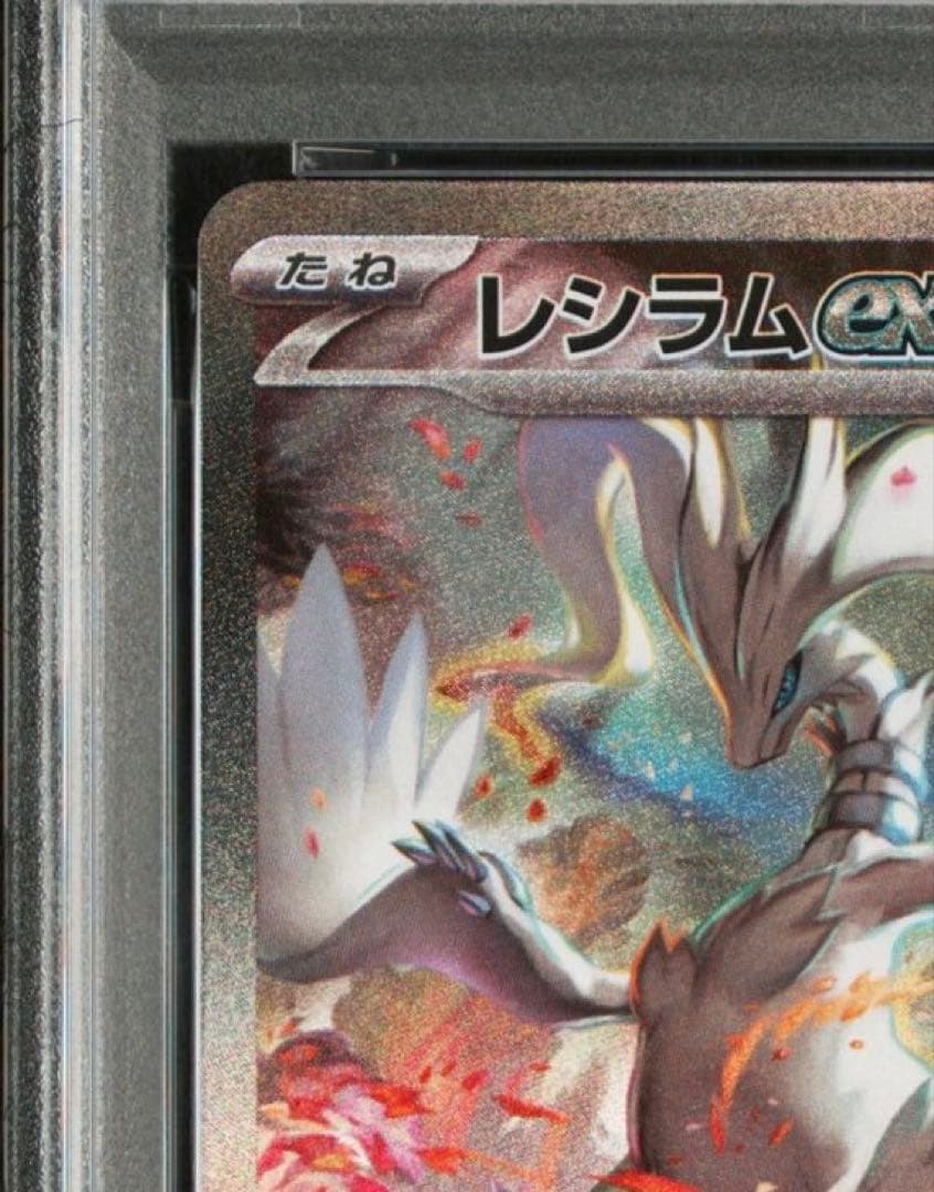 ゼクロムex SAR & レシラムex SAR PSA10連番