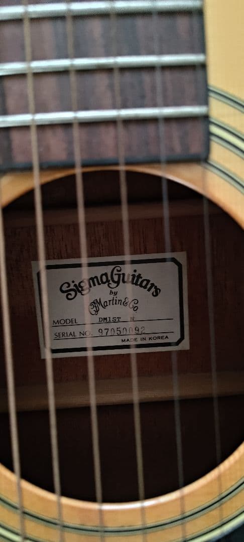Sigma Guitars DM-1ST アコースティックギター