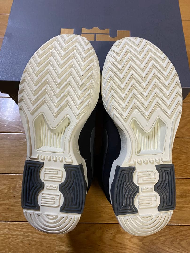 Nike LeBron’s Witness Ⅸ EP