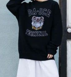 【新品未使用】Da-iCE Color Flocky Sweat Mサイズ