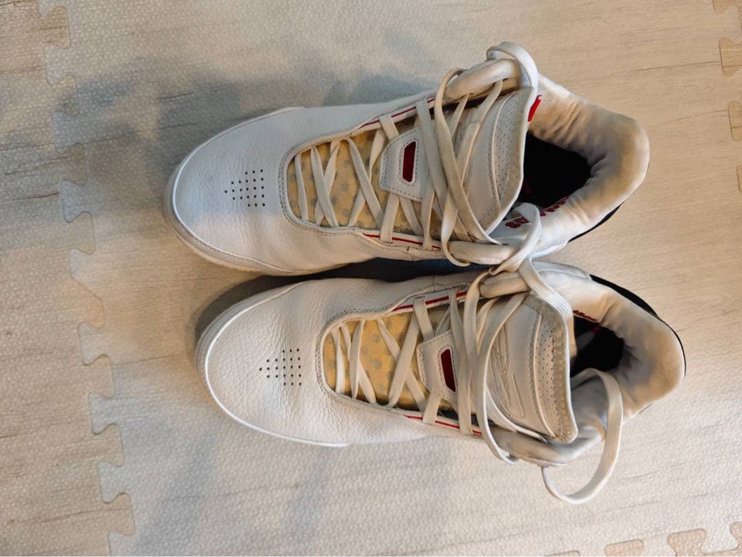 【美品】NIKE LeBron NXXT Gen 28.5cm