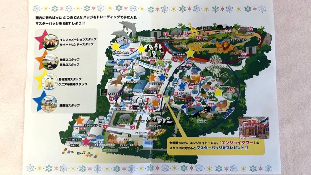 限定100個 アドベンチャーワールド 桜浜 桃浜 缶バッジ パンダ 双子 希少