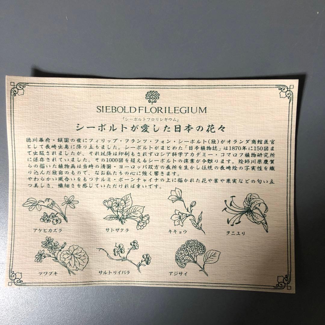 ◆524◆【新品未使用】ナルミ シーボルト花柄 プレート 5枚セット