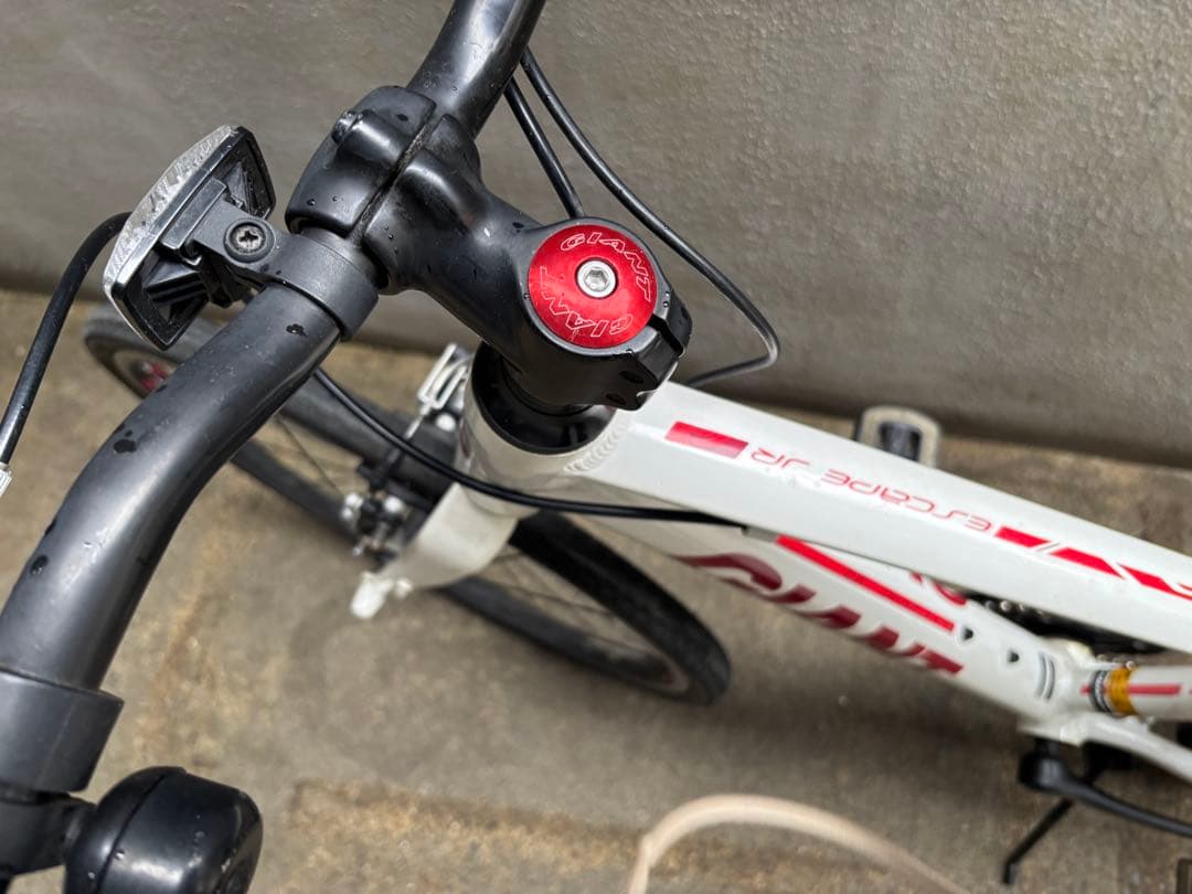 自転車本体 ESCAPE JR 24