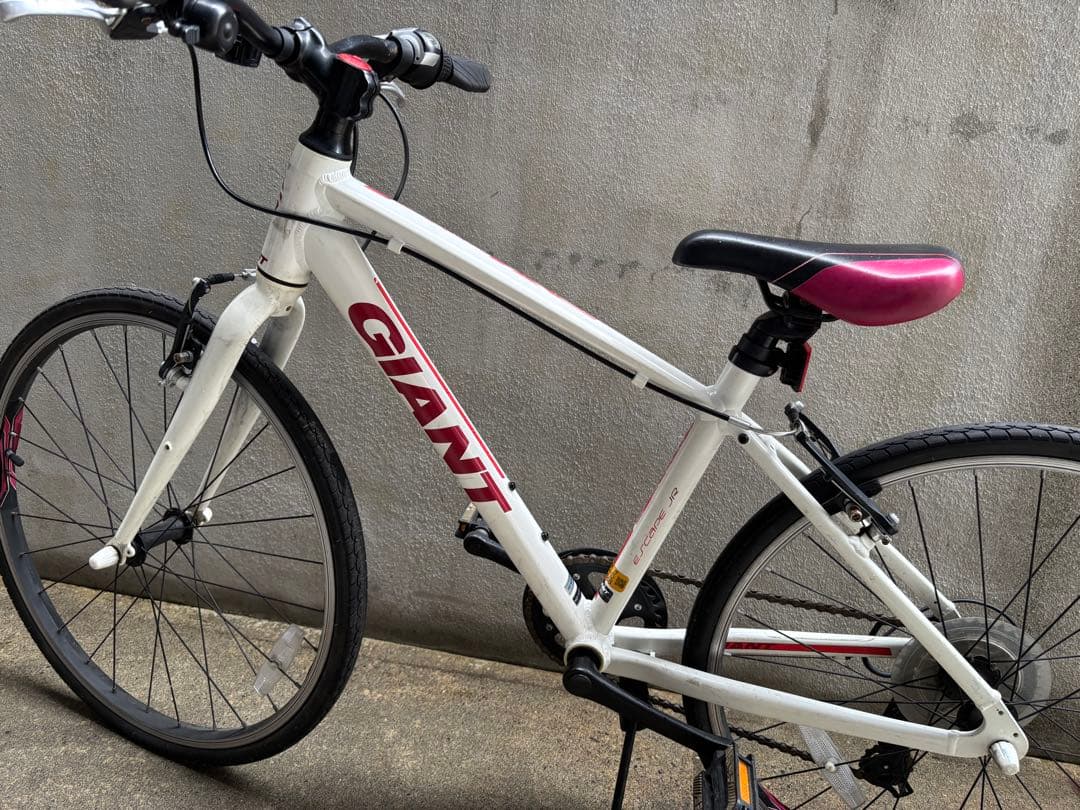 自転車本体 ESCAPE JR 24