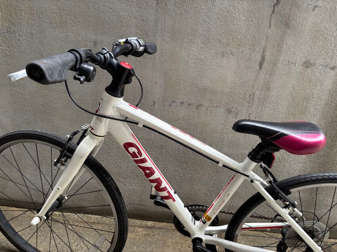 自転車本体 ESCAPE JR 24