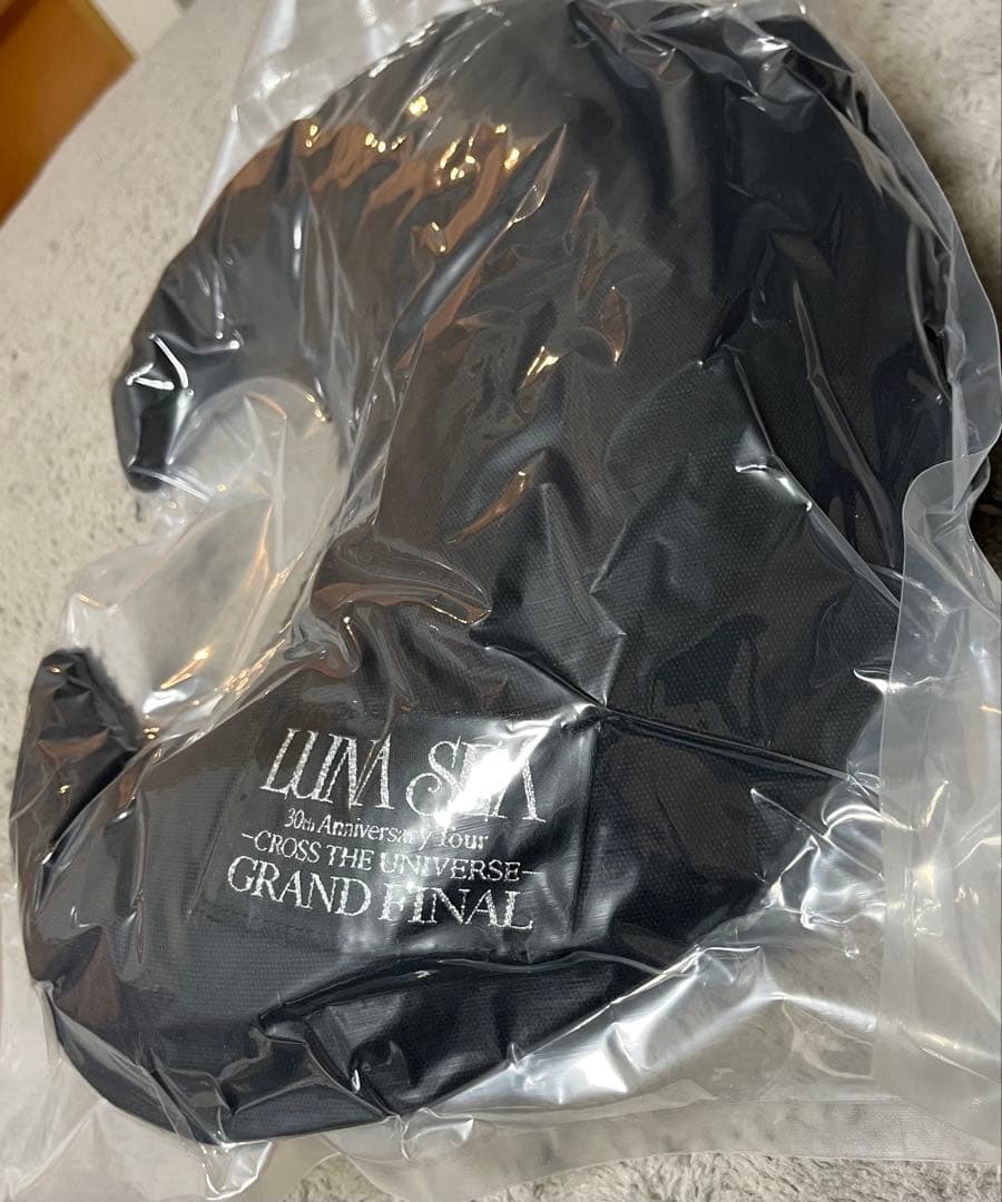 LUNA SEA クッション　ラウンジマット