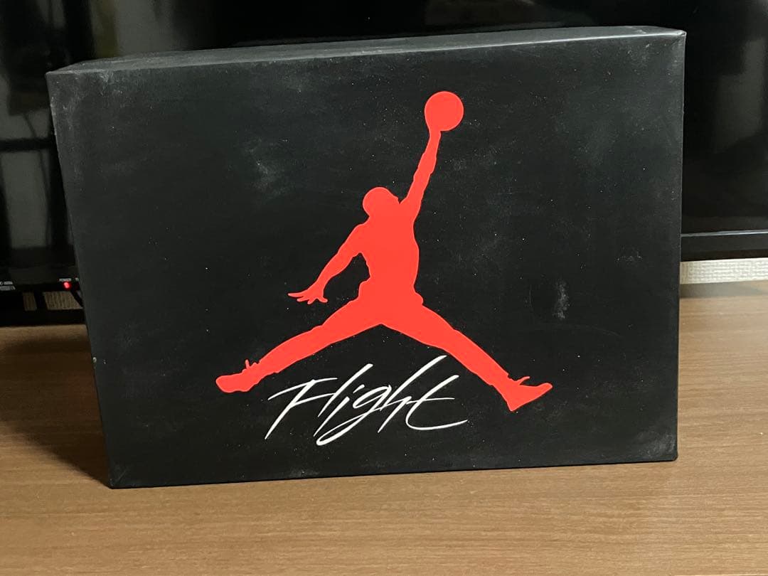 Air Jordan 4 セメント　28cm