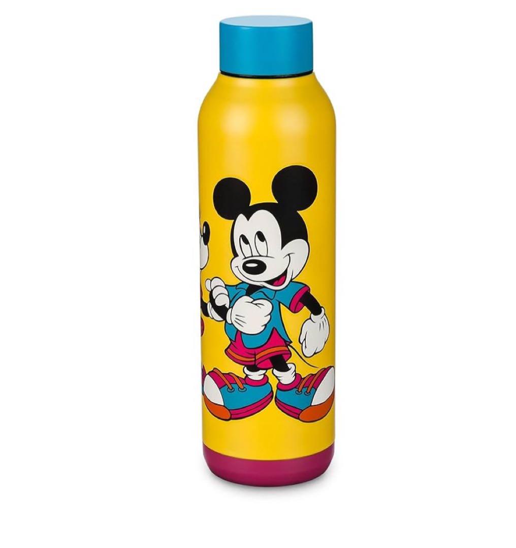 ディズニー　海外限定　水筒 630ml disneyland DLR WDW