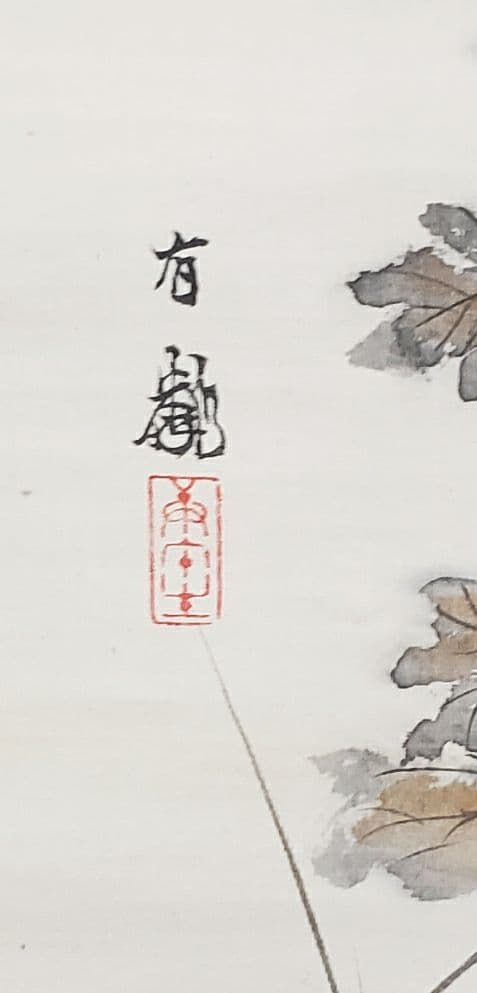 【菊図】石河有隣 2529 キク　掛け軸　肉筆