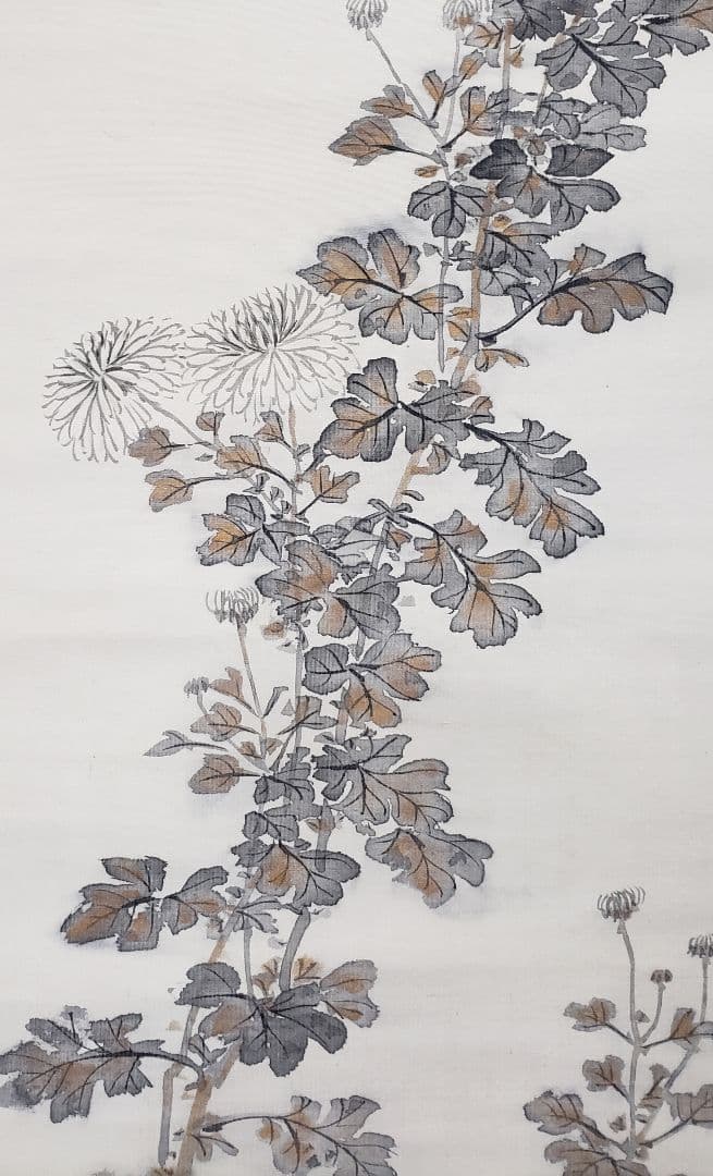 【菊図】石河有隣 2529 キク　掛け軸　肉筆
