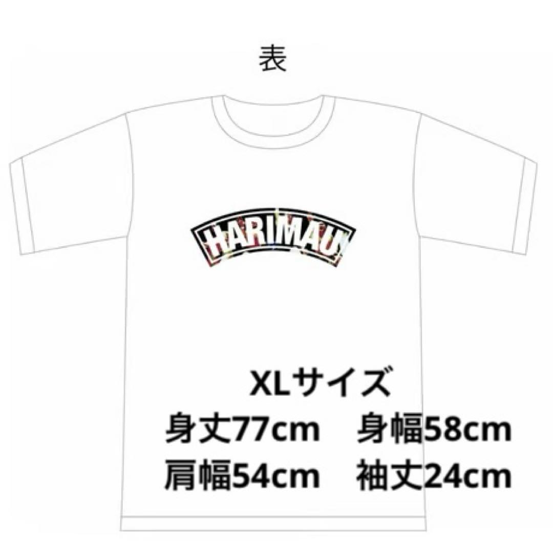 【美品】DDTプロレス　ハリマオグッズセット