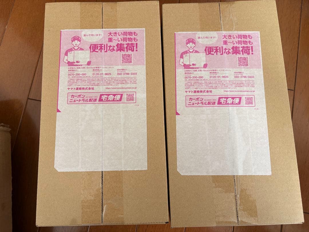 スペシャルBOX ポケモンセンターフクオカ 2BOX
