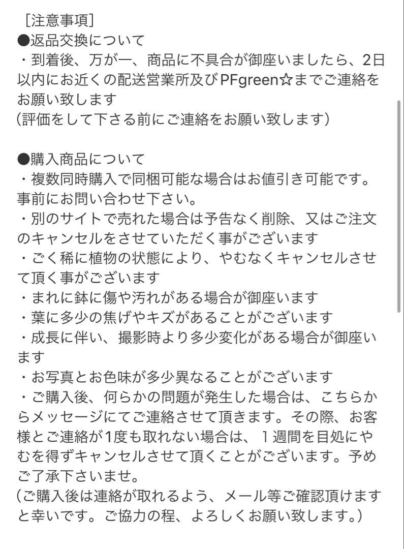 ［現品］【希少】サンスベリア　パテンス　斑入り　4号　観葉植物　室内　レア