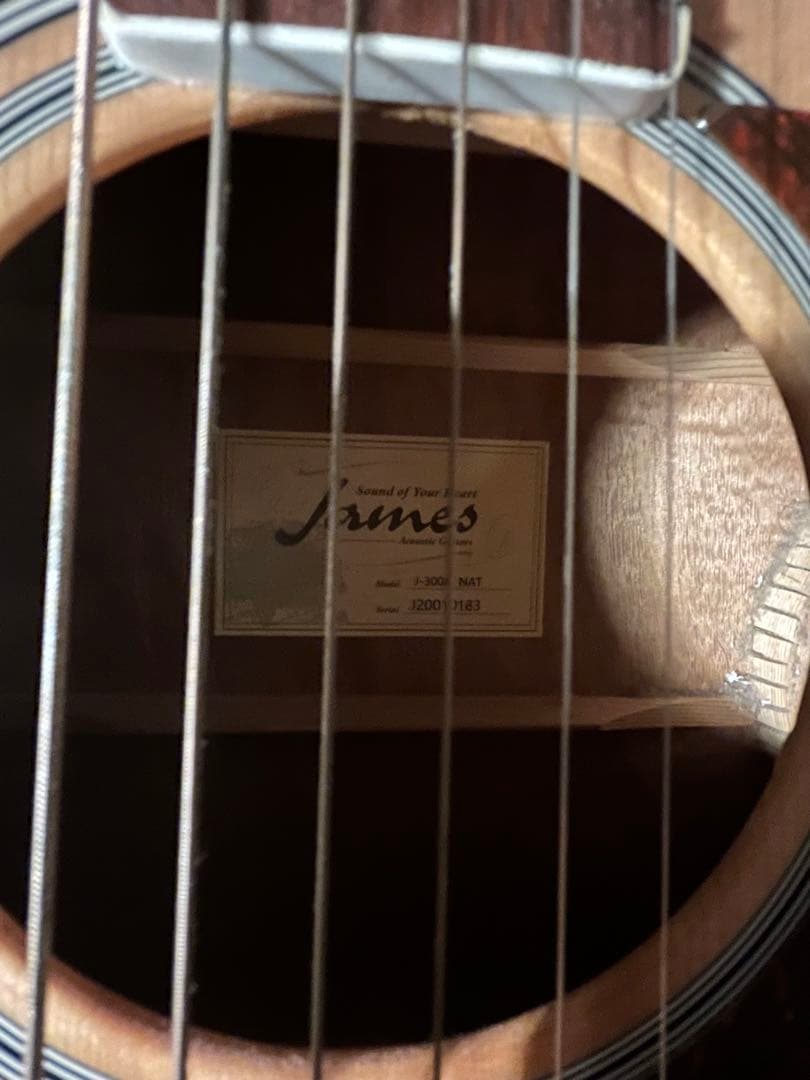 James J-300 アコースティックギター