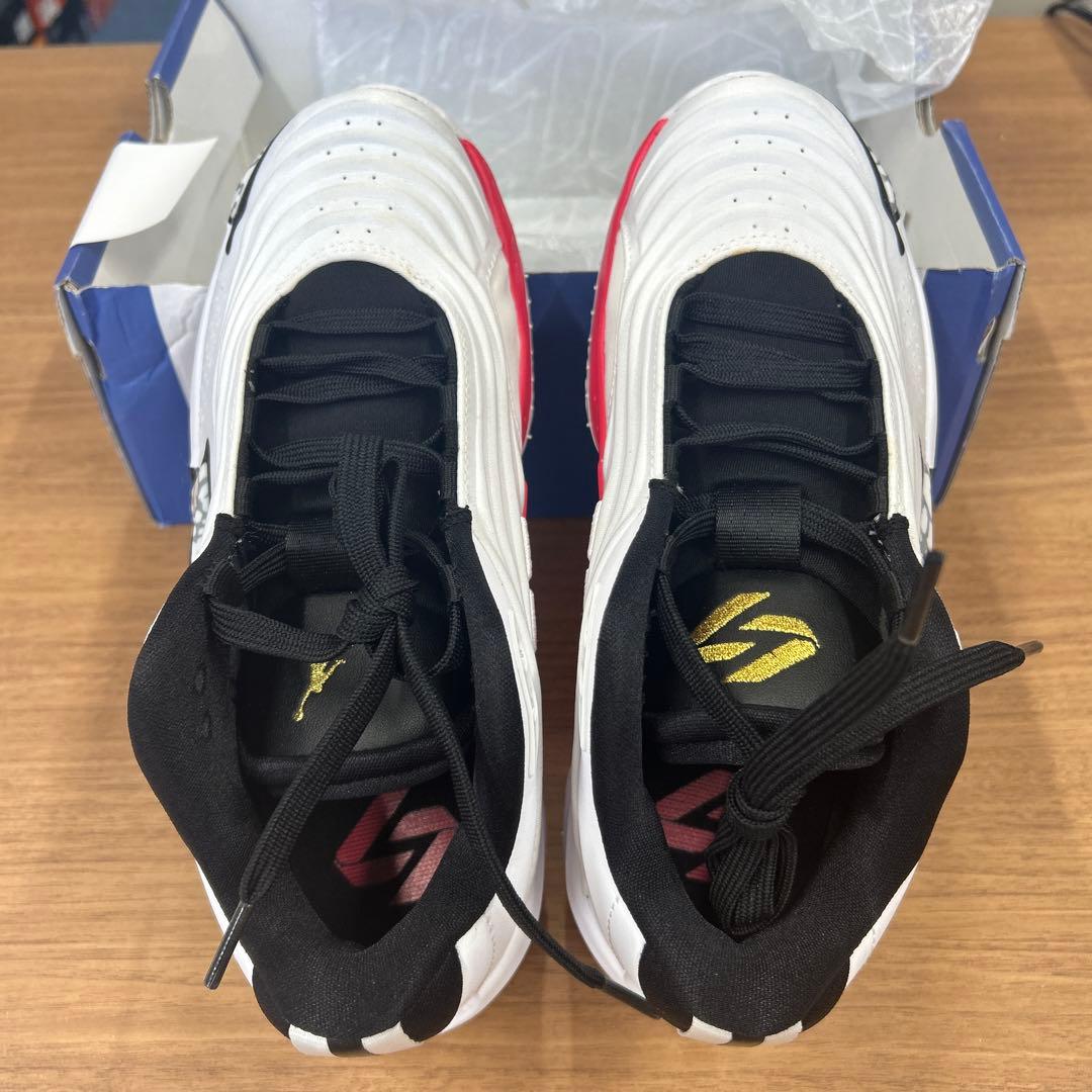 Jordan Luka 3（239）