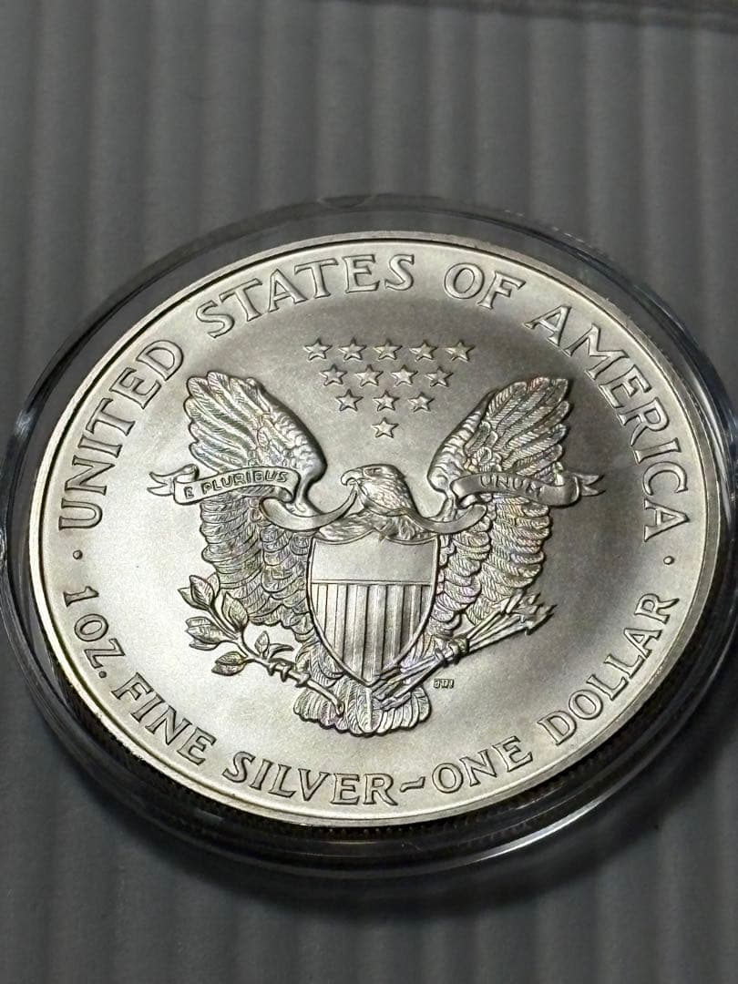 1996 アメリカン・イーグル 銀貨 1ドル　1オンス銀貨　ヴィンテージ