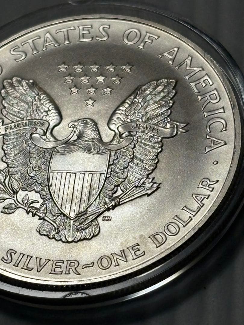 1996 アメリカン・イーグル 銀貨 1ドル　1オンス銀貨　ヴィンテージ