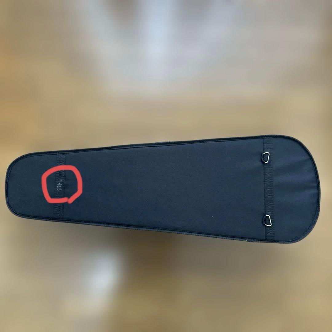 【使用期間約1ヶ月】 PLAYTECH プレイテック PVA360 ビオラ