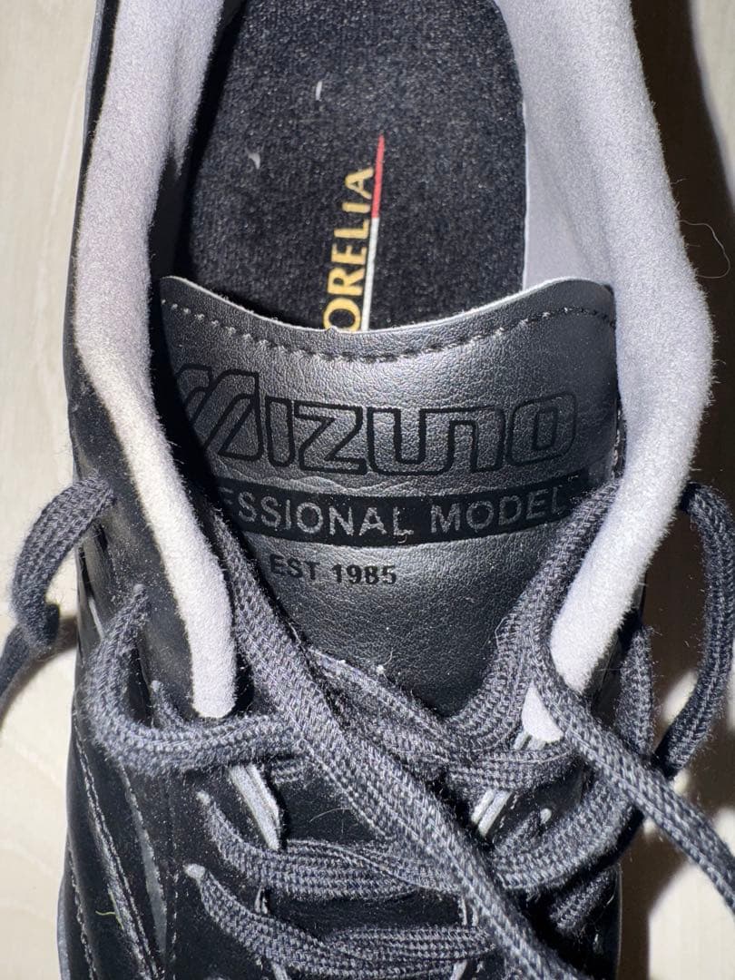 ミズノ モレリア サラ PRO TF MORELIA SALA PRO TF