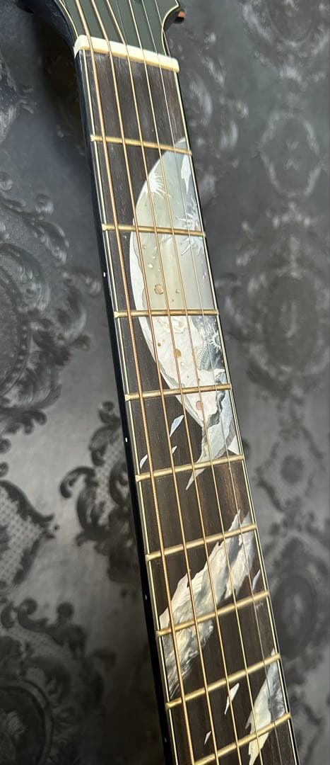 【希少】takamine LTD 2019 moon エレアコ