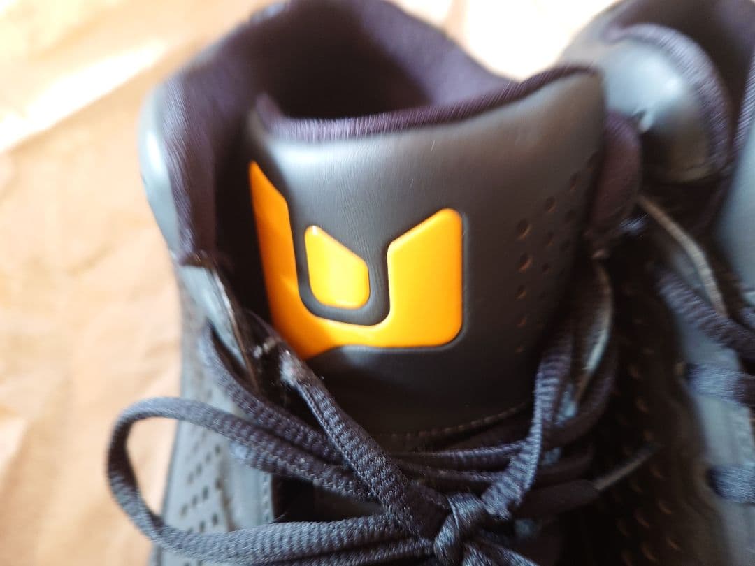 エアジョーダン Jordan Air D Wade Reign