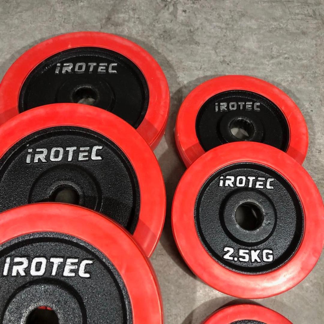 人気 IROTEC アイロテック ダンベル 片側 30kg ラバー ② 筋トレ