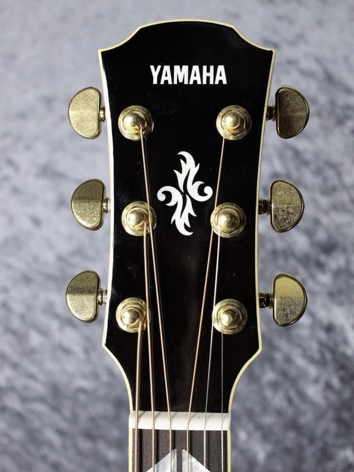 YAMAHA APX1000 長渕剛 HUNGRY MODEL レプリカ