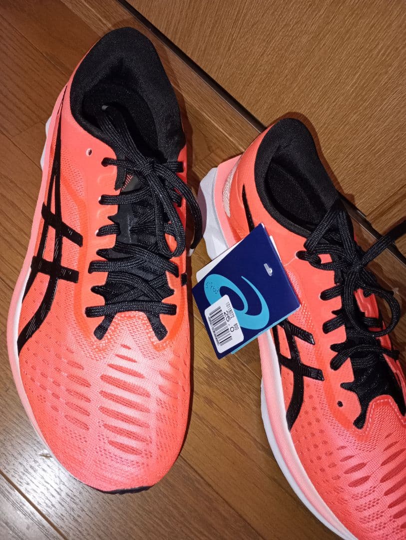 未使用 ASICS NOVABLAST アシックス ノヴァブラスト 25.0cm