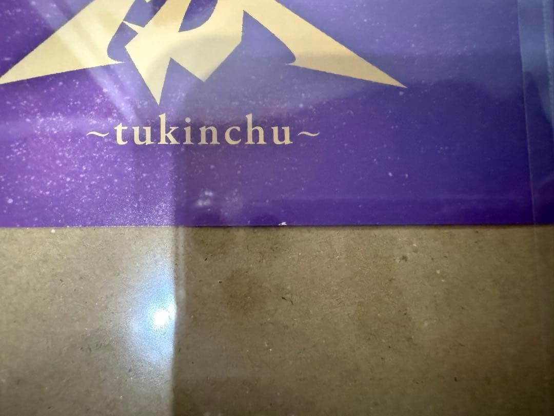 tuki. 武道館　ピクチケ　承認欲求爆発
